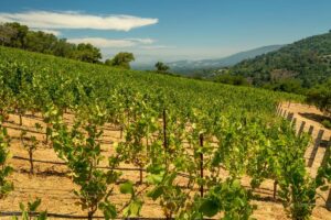 Los Gatos property management