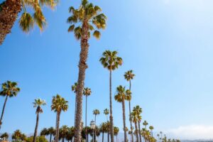 Santa Clara property management